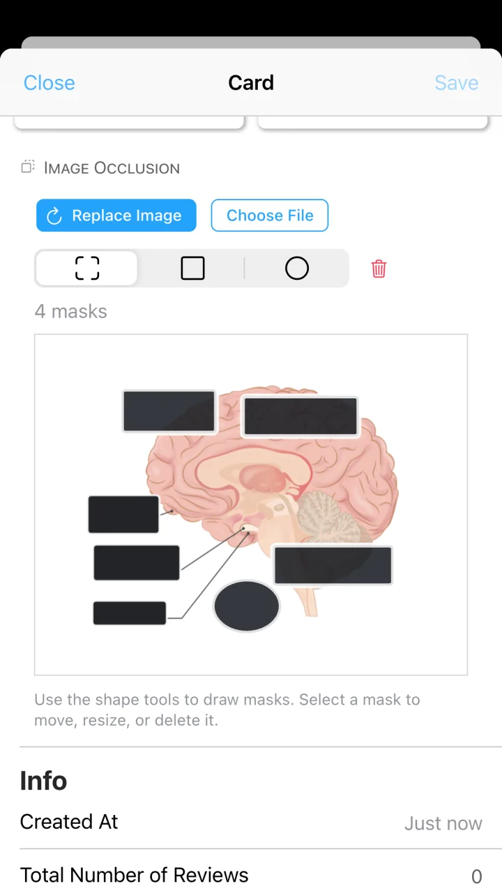 Creating rectangular and circular masks over a brain diagram in AlgoApp